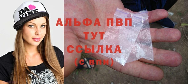 индика Абдулино