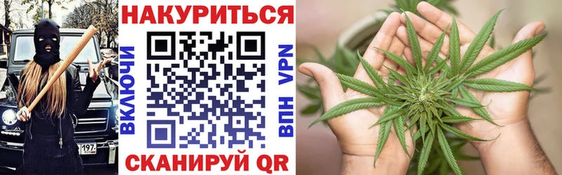 Канабис планчик  блэк спрут маркетплейс  Задонск 